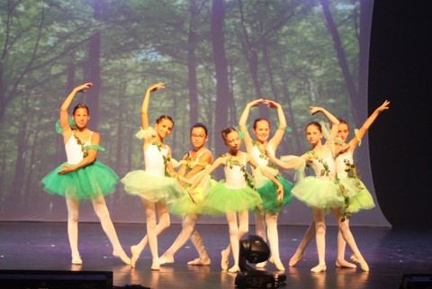 cours de danse classique 